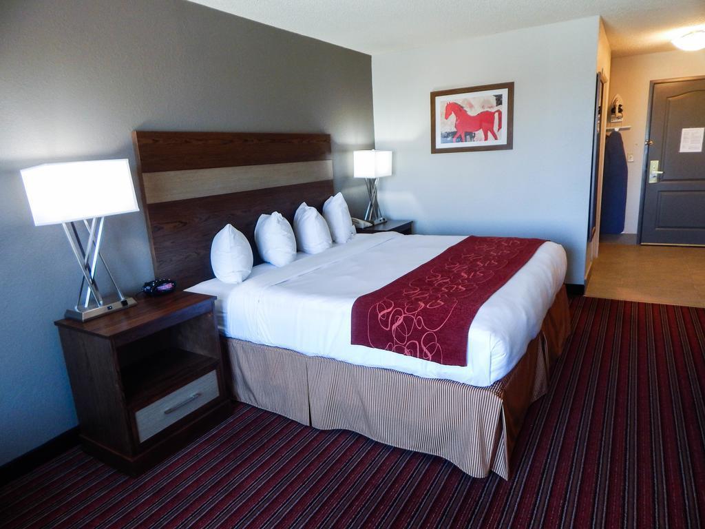 Country Inn & Suites By Radisson, Dfw Airport South, Tx Irving Eksteriør bilde